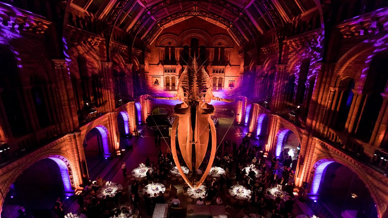 Natural History Museum interior with space-themed decorations